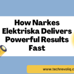 Närkes Elektriska